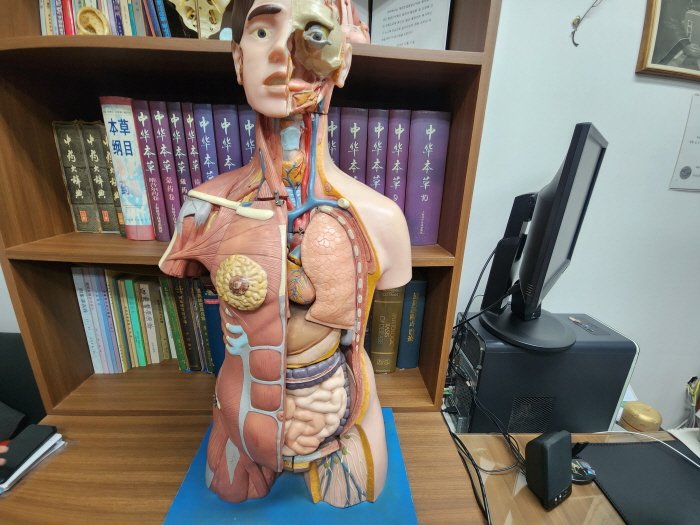 만성 건선 한의원 추천